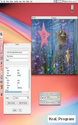 VLC Media Player (Linux)