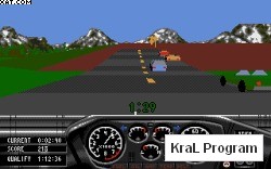 Race Drivin 95