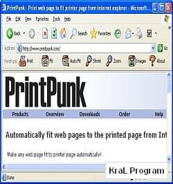 PrintPunk