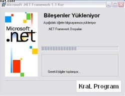 Microsoft .NET Framework Yeniden Dagitilabilir Paketi