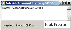 Asterisk Password Recovery XP