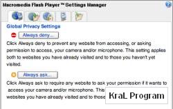 Macromedia Flash Player X