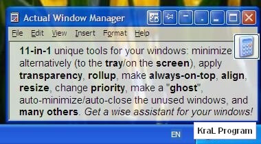 Actual Window Manager 5.0