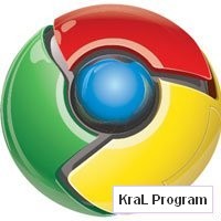 Google Chrome 2.0.169.1