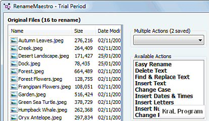 RenameMaestro 2.6.0 Toplu dosya isim degistirici