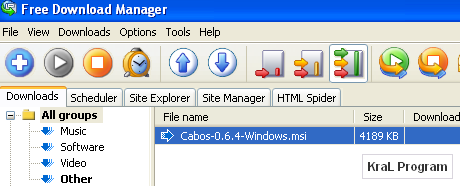 Free Download Manager 3.0.870 indirme programi