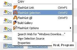 FlashGot 1.2.0.6 Firefox eklentisi