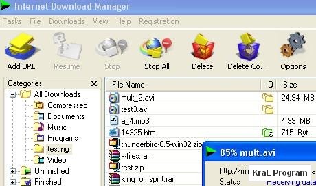 Internet Download Manager 5.19 Hizli dosya indirici