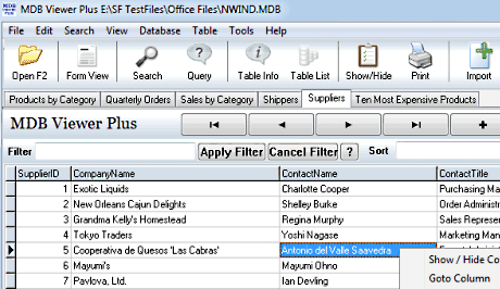 MDB Viewer Plus 1.82 mdb dosyası açma ve düzenleme