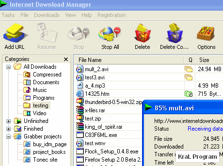 Internet Download Manager 6.05 Dosya indirme programı