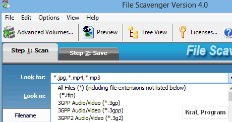 File Scavenger 4.1 Dosya kurtarma programı